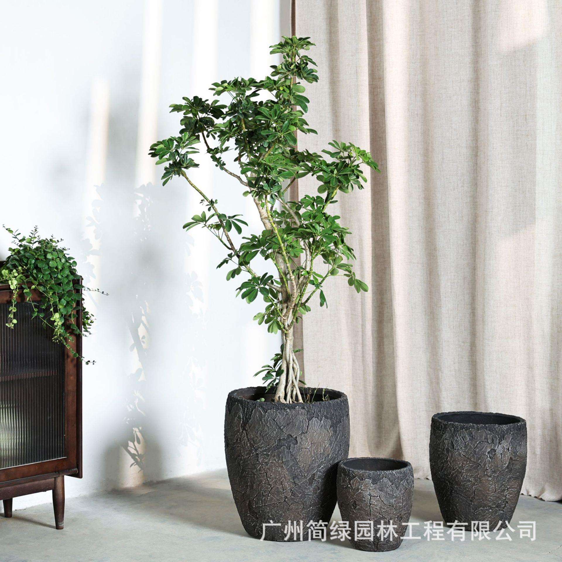 镁泥花盆复古艺术客厅商场室内外落地北欧特大号绿植物盆栽水泥盆
