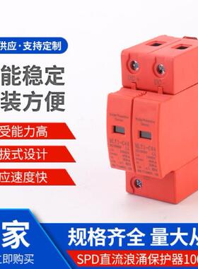 SPD直流浪涌保护器1000v 2P电涌保护器 浪涌保护器防雷避雷器