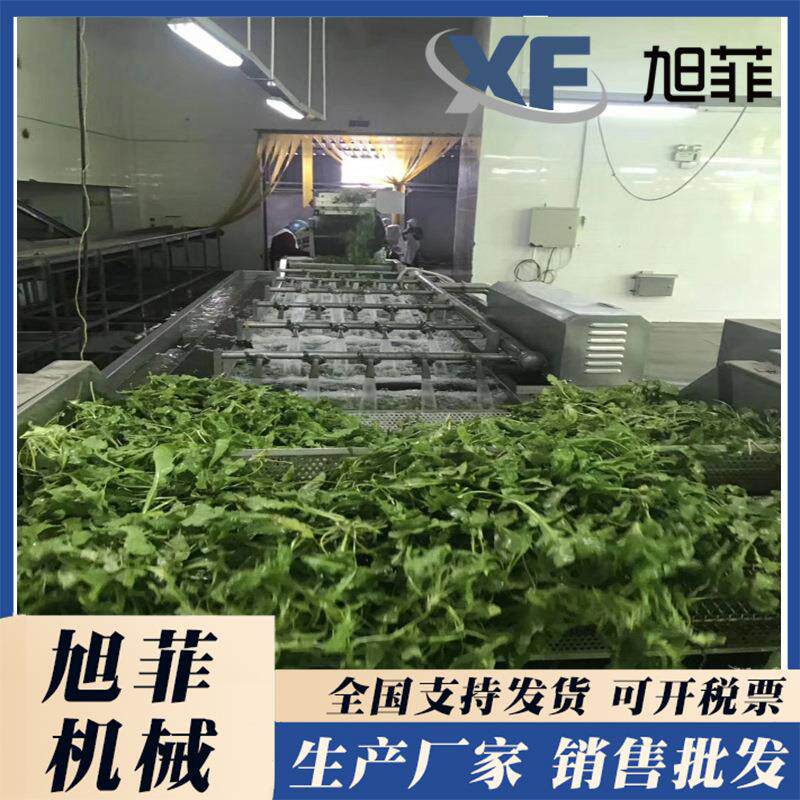山野菜 芥菜 蕨菜加工流水线 叶菜类蔬菜加工设备