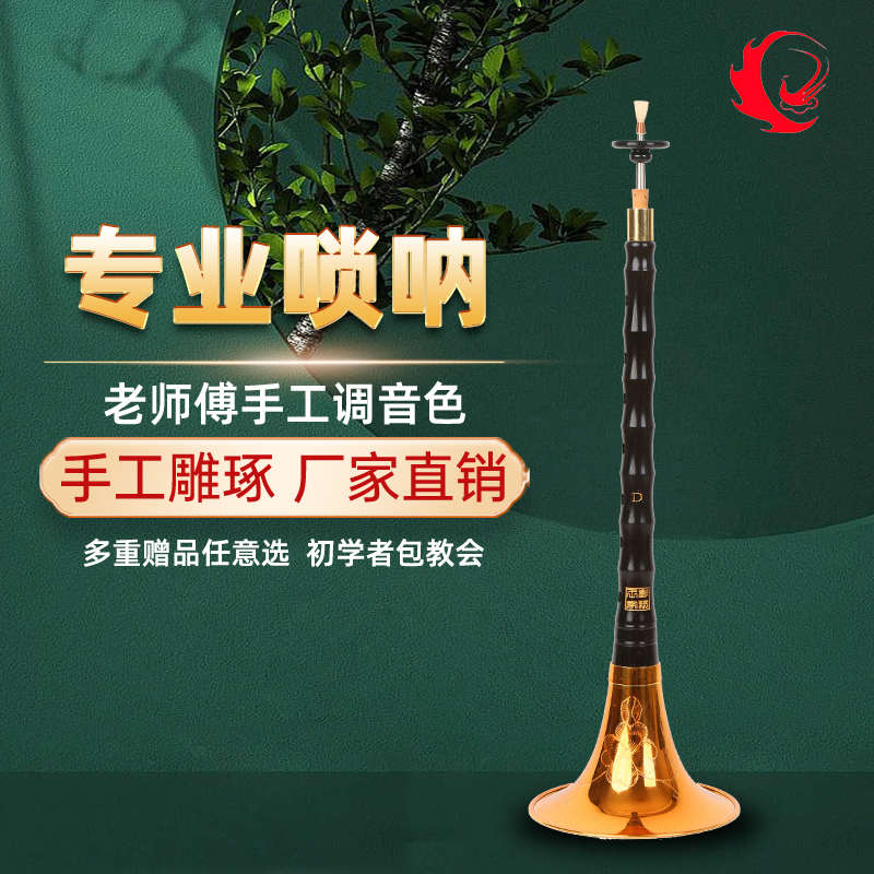王家彪专业乌木黑檀木唢呐乐器初学者全套民族乐器喇叭d调小号