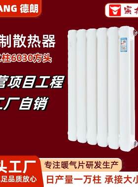 工业级钢制暖气片钢二柱60片头暖气片厂家加工圆柱式散热器