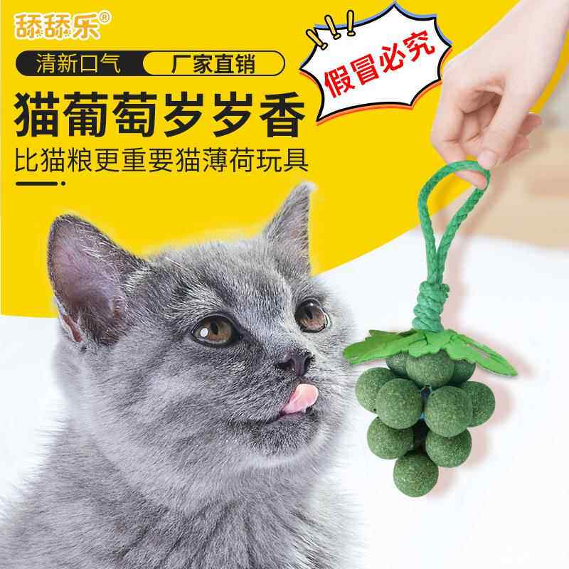 猫薄荷木天蓼舔舔乐玩具 葡萄形磨牙洁齿球 猫咪解闷互动零食耐咬