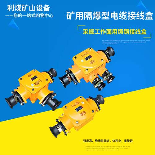 防爆三通BHD2-100/380(660)-3T-4T-2T矿用隔爆型低压电缆接线盒