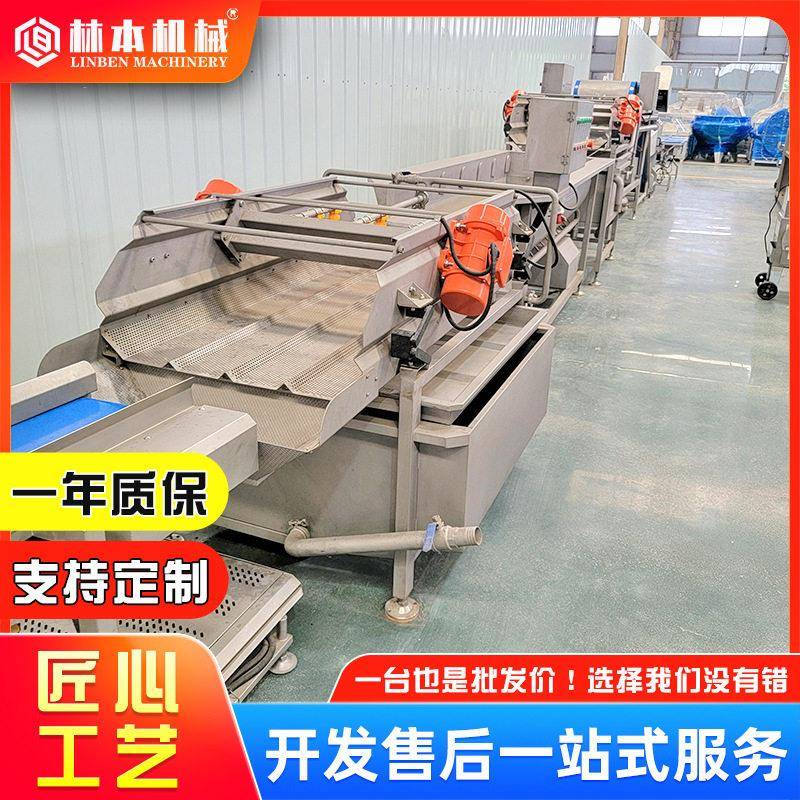 林本薄荷叶流清洗机器大型菜加清洗流水线涡水蜜工桃蓝莓净葡萄清