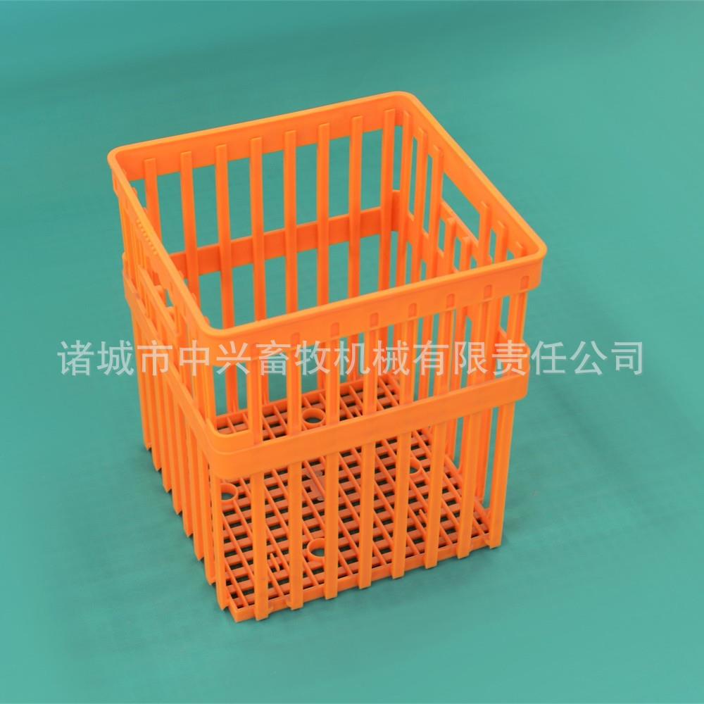 可配41所蛋托用42枚种蛋筐图片大种蛋筐塑料种蛋箱
