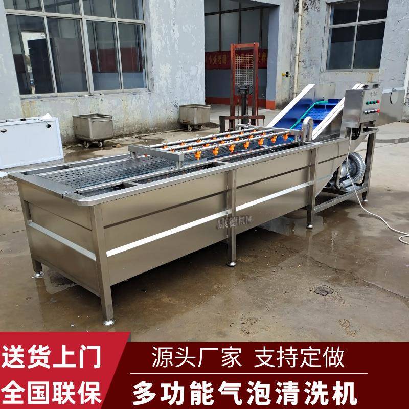 桑叶全自动气泡清洗机豆芽菜清洗设备中药材丹参去泥沙清洗机