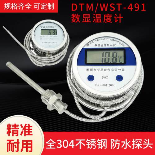 数显温度计带监视器WST/DTM491带线高精度耐酸防水数字工业测测温