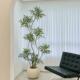 大型彷真绿色植物盆栽室内客厅高端轻奢落地装 饰高级彷生植物十大