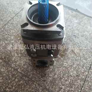 0070 10N GP2PF R齿97F 高压轮 G1RMML0020RF 10NH意大利齿轮泵