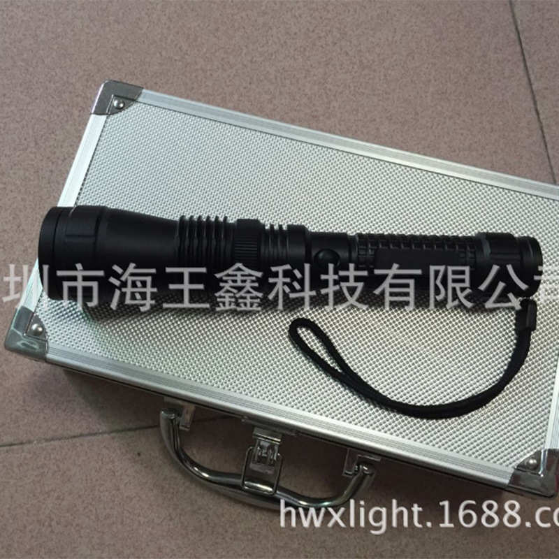 三年质保 高品质 RWX66-4多波段匀光勘查手电筒