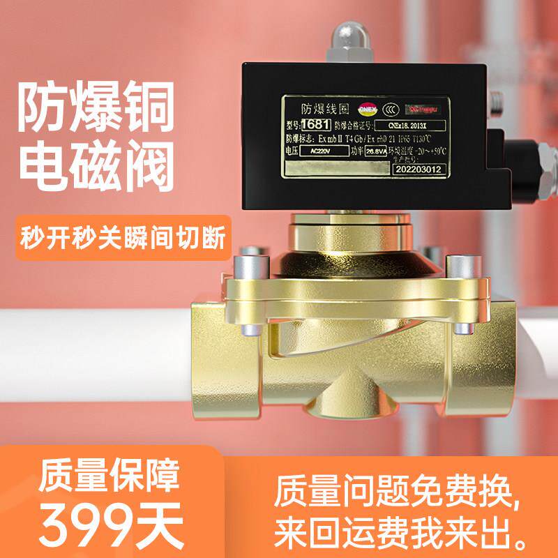 防爆电磁阀天然气矿用水阀气阀控制管道常闭dn15 25 5012v220v24v