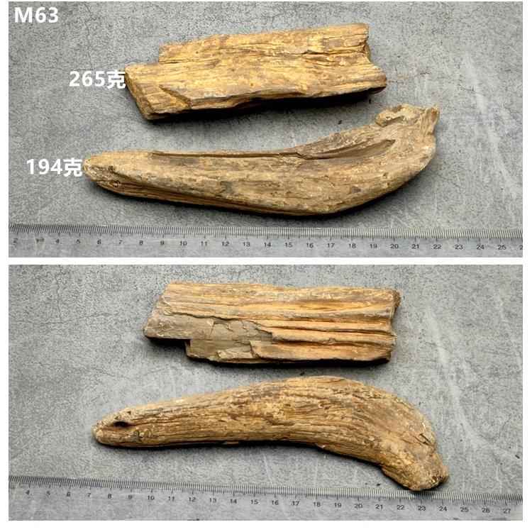 新款石黑龙江木化石冰时期硅树化河玉化木原石摆件天然奇观赏石标