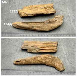 新款石黑龙江木化石冰时期硅树化河玉化木原石摆件天然奇观赏石标