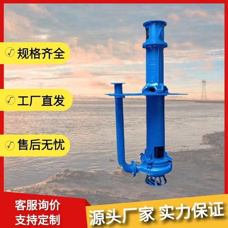 液下渣浆泵排污清淤杂质泵立式泥浆泵40PV-SP耐磨铬合金矿用泵