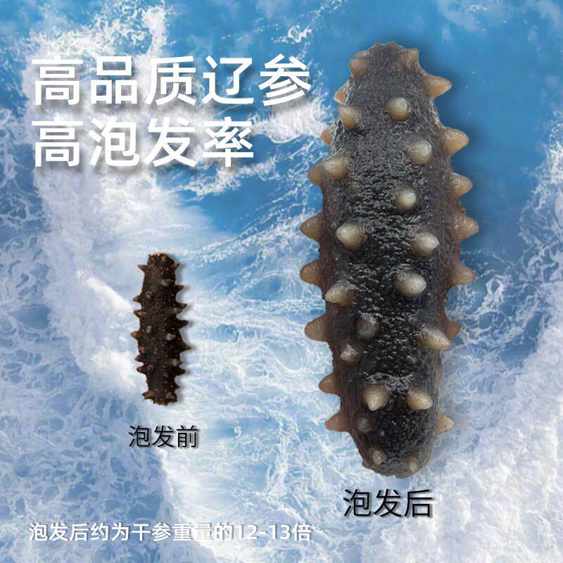 参萌海参 深海底播海参干 干货大连淡干辽刺参年货礼品礼盒端午送