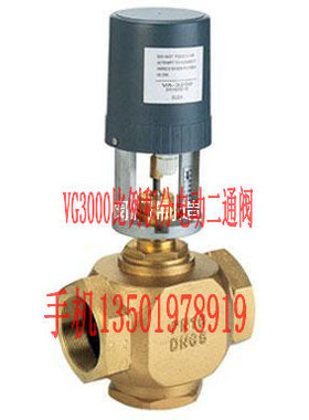 VG3000法兰螺纹全铜比例积分电动调节二通阀 DN50 65 80 20 25 32