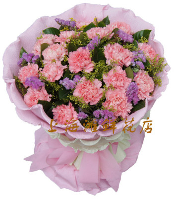 康乃馨上海瑞金病人鲜花速递