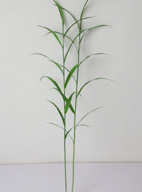 仿真植物落地室内芦苇干花新品