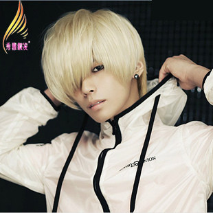 Perruque      cheveux raides Court - Ref 2613741 Image 1