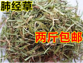粉条儿菜 两斤 小肺金草 中药材小肺筋草 金线吊白米 蛆儿草 包邮