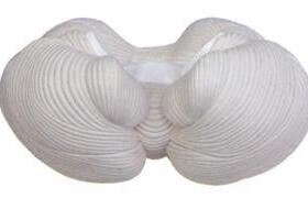 【厂家直供】小脑放大模型GD/A18209