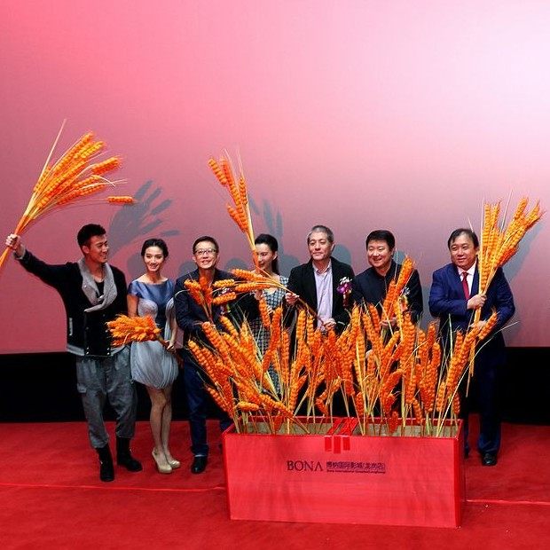 仿真大麦穗小麦稻谷道具装饰花客厅落地花艺家居摆设花瓶插花田园,鲜花速递/花卉仿真/绿植园艺,仿真绿植,淘宝优惠券,粉丝福利购,淘宝优惠卷