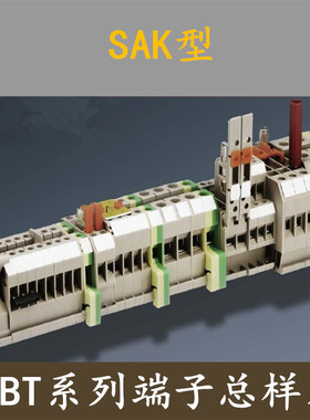RBT系列总样本 成都瑞联电气RBT系列  NSK系列端子 SAK型端子排