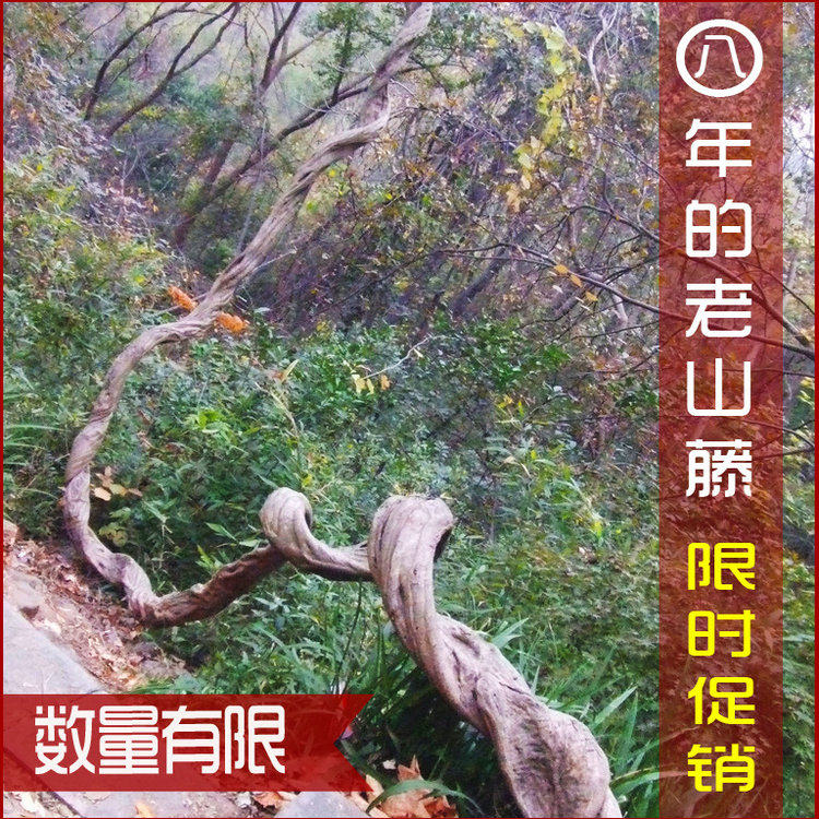 树藤枯藤藤条装饰老粗藤仿真树枝干藤蔓植物假绿植墙壁挂吊顶缠绕