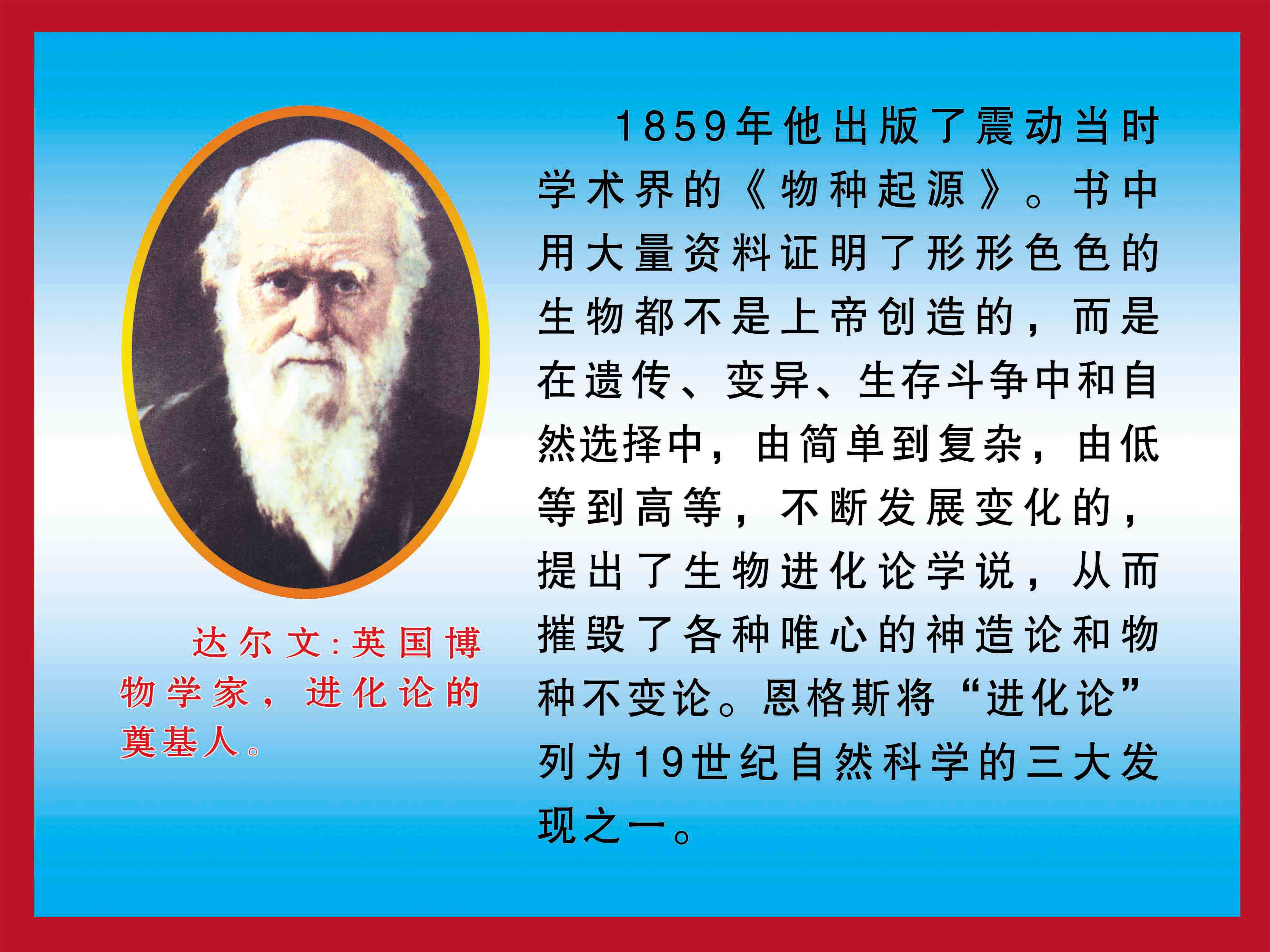 572海报印制海报展板素材538达尔文简介绍名人名言格言(6) - 副本