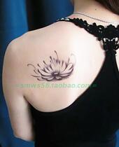 Autocollant pour vélo - Ref 2283538 Image 33