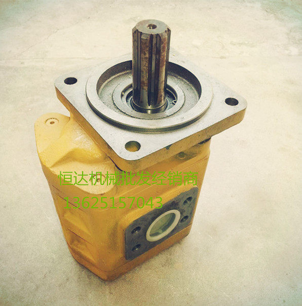 常林装载机配件 工作泵 齿轮泵 转向泵 变速泵CBG2080 高/低