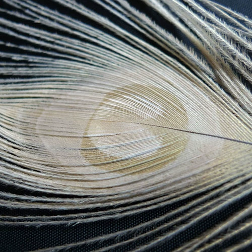 Аксессуары, аксессуар для волос, белые искусственные серьги, сужает поры