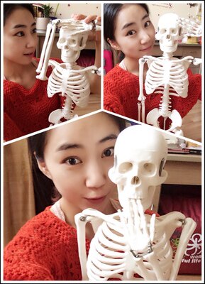 医学教学人体骨骼模型45CM厘米 85CM骨骼模型骨架 小针刀诊所脊柱