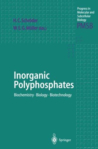 美国库房发货,通常付款后5-8周到货！