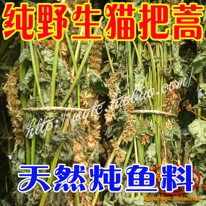野生东北猫把蒿50g芭蒿藿香排香草铁锅炖吉林活鱼火锅料汪清特产