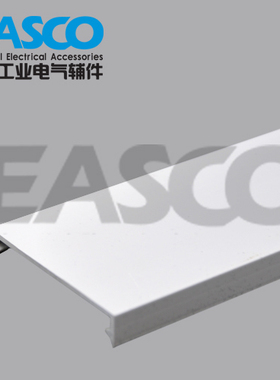 EASCO兴御  白色COV 50线槽盖板 行线槽 wiringduct 厂家直销