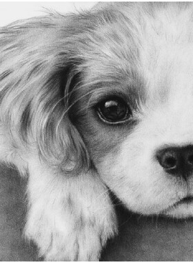 刘年锦绣 DMC绣线绣线十字绣 非印花布HAE ZIN15877 Little Puppy