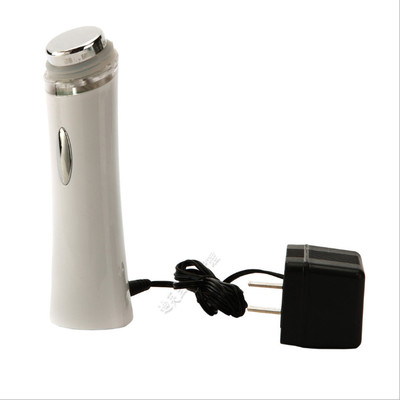 金稻家用导入面部排毒美容仪