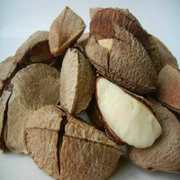 【新货包邮】新疆特产 500g大鲍鱼果 沙漠果坚果休闲零食送开口器