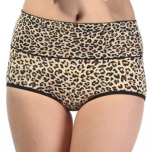 头潮内裤 性感裤 豹纹青年舒适时尚 娇兰蒂诺7722女士高腰小平脚裤