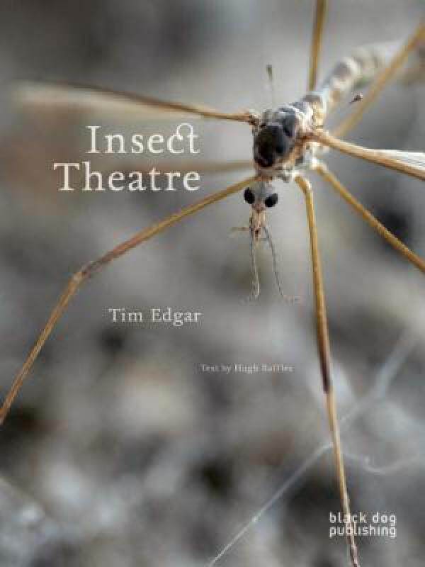 【预售】Insect Theatre