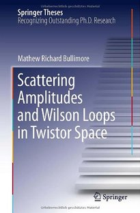 预订 Wilson Scattering and Loo... Amplitudes