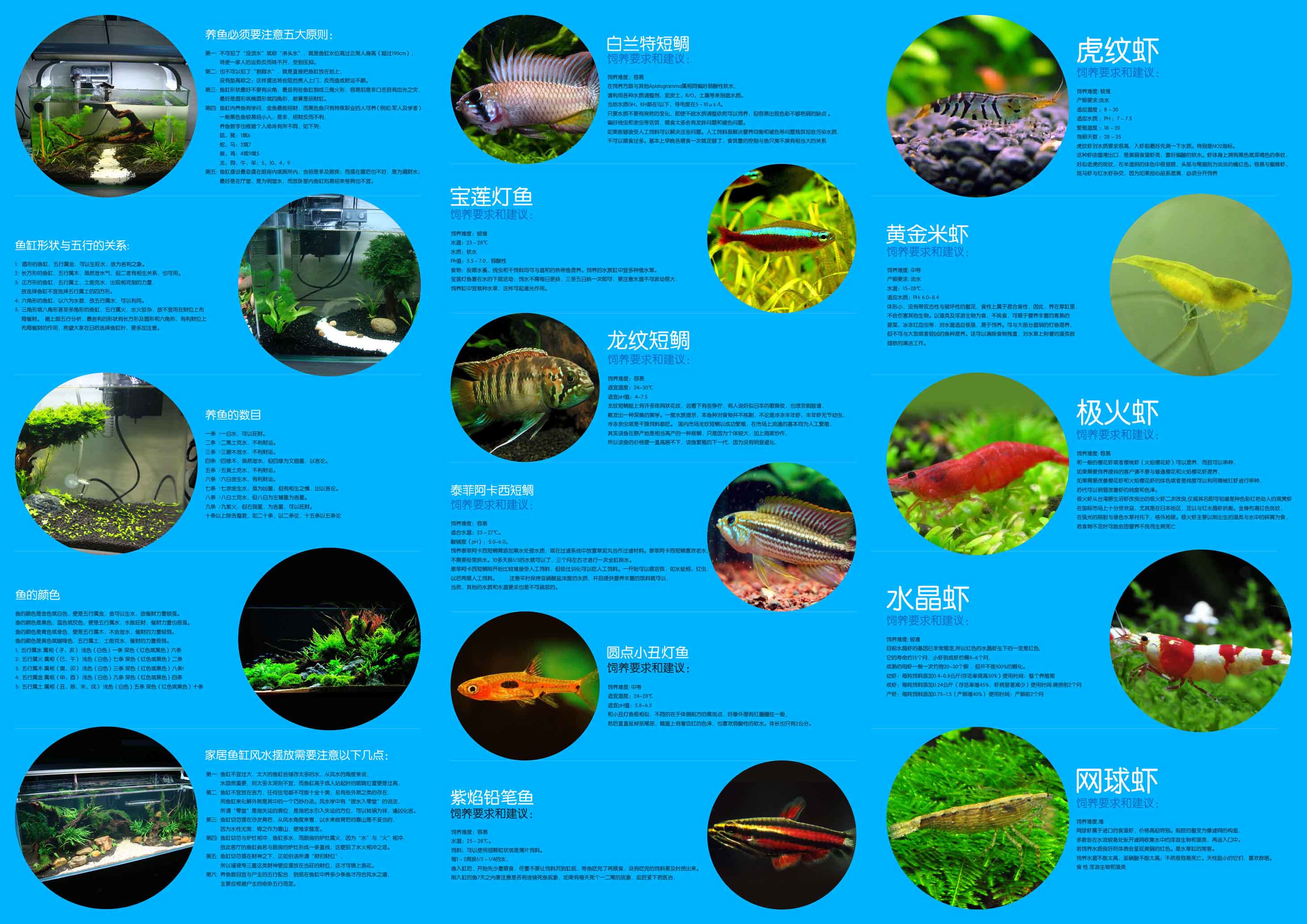 618海报印制海报展板素材983鱼类介绍水族馆副本