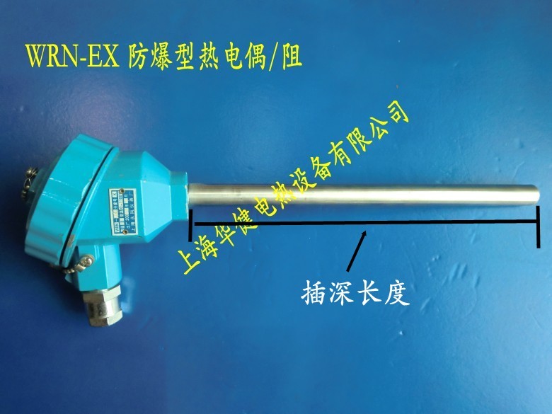 WZP-430 Pt100A防爆热电阻 EX防爆电热偶温度传感器装配热电偶