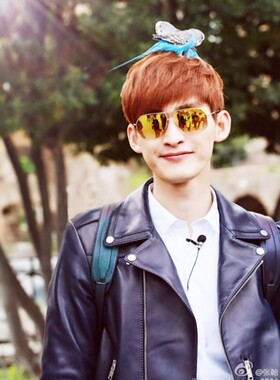 墨镜许晴刘涛太阳眼镜张翰同款