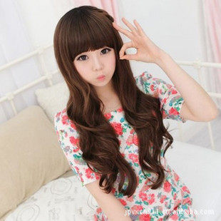 Perruque Les cheveux longs - Ref 2610106 Image 1