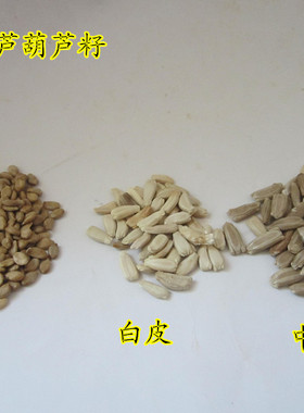 天然葫芦种子手捻葫芦籽酒葫芦