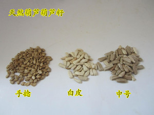 包邮天然葫芦种子手捻大中小亚腰葫芦籽可阳台盆栽酒葫芦种子现货