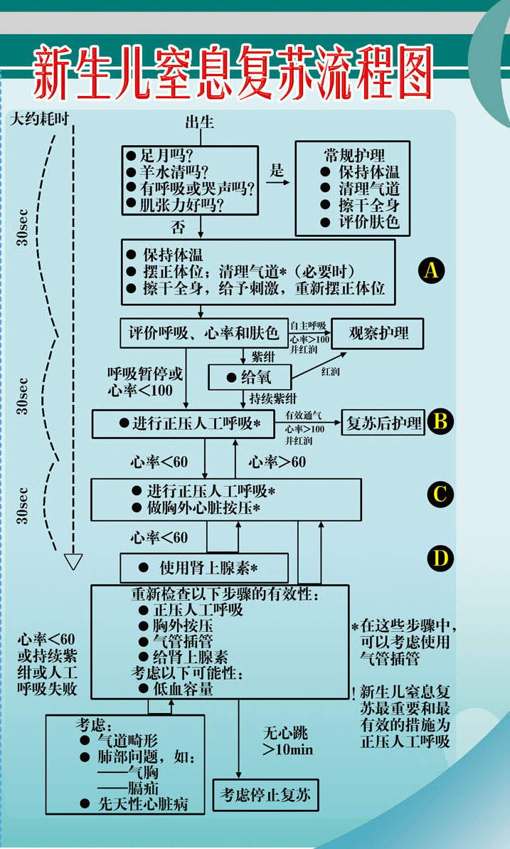 607海报印制海报展板素材44医院妇产科新生儿窒息复苏流程图
