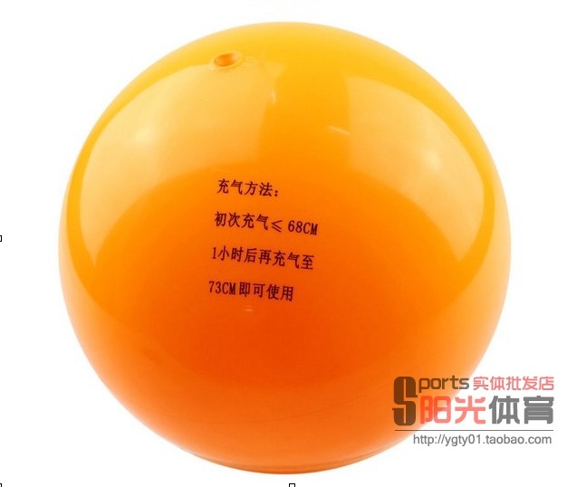 Ballon de volley-ball - Ref 2010423 Image 3